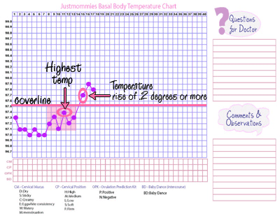 menstral cycle chart. each menstrual cycle.